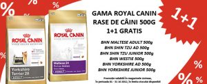 Read more about the article Promotie Animax Royal Canin