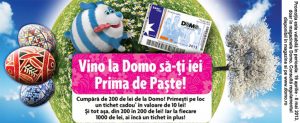 Read more about the article Promotie Domo