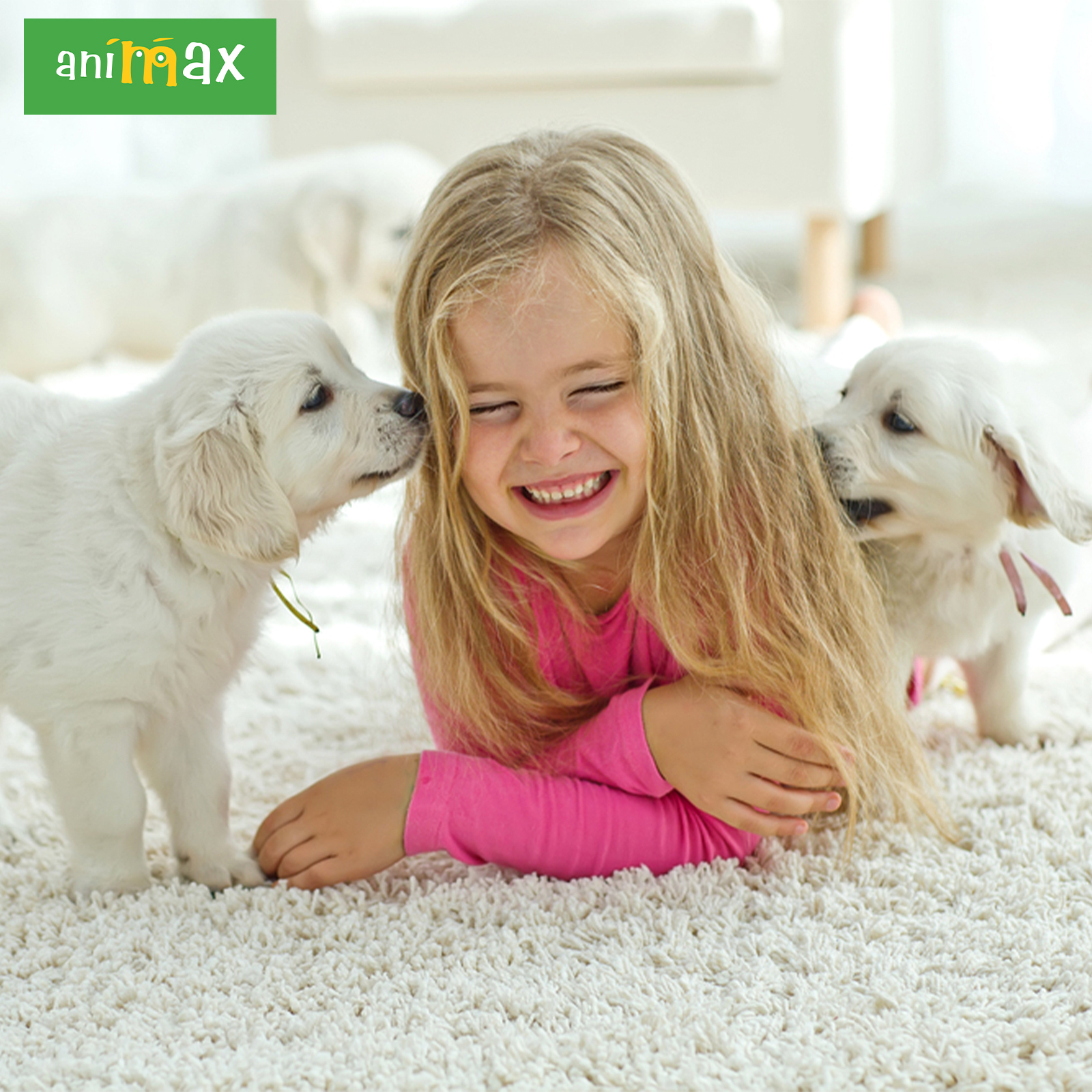 You are currently viewing ANIMAX : Rasele ideale pentru copii