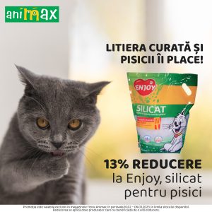 Read more about the article ANIMAX : Litiera curata si pisicii ii place!