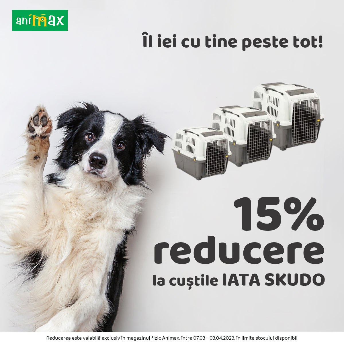 You are currently viewing ANIMAX : 15% REDUCERE – IATA SKUDO
