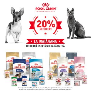 Read more about the article ANIMAX : 20% REDUCERE ROYAL CANIN